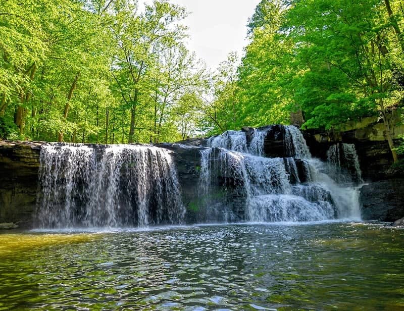 Brush Creek Preserve - Image 2