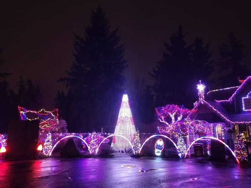 Maple Valley Lights - Image 2