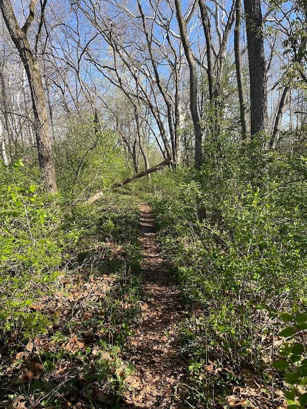 Dr. Nathan Hale Riparian Reserve - Image 1