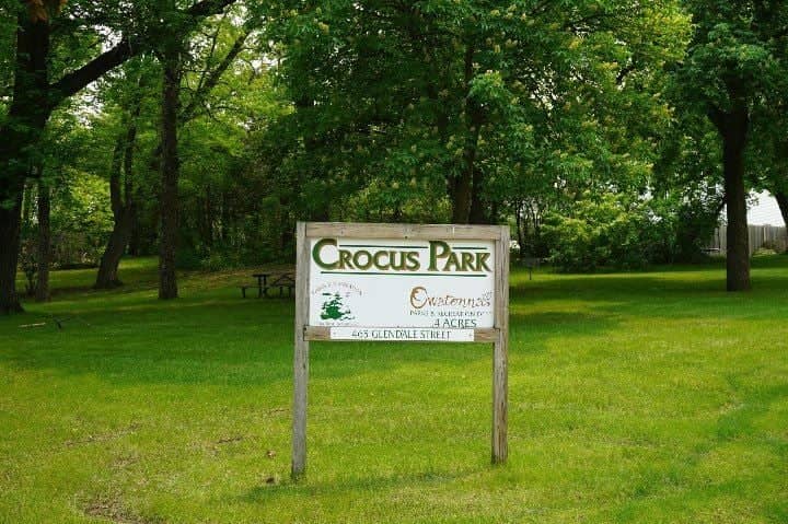 Crocus Park - Image 1