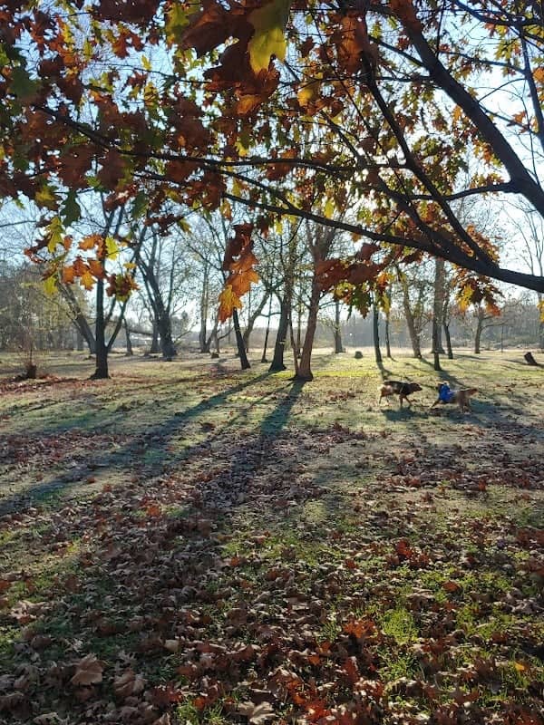 Marina Park - Image 2