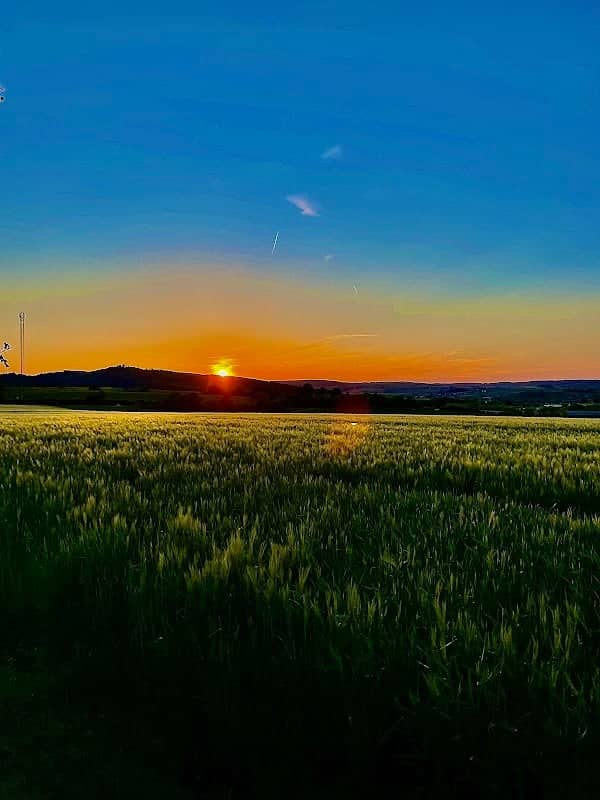 Büdinger Aussicht - Image 1