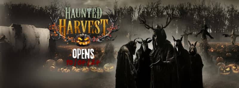Haunted Harvest - Image 1