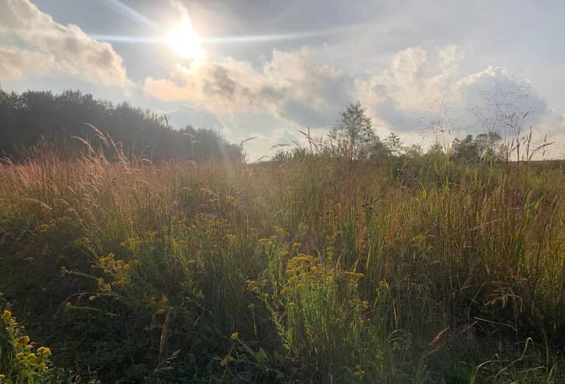 Lost Creek Wetlands - Image 2