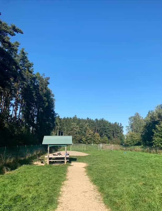 Dog park - Image 1
