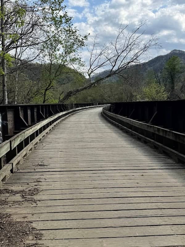 The World's Longest ATV Bridge - Image 1