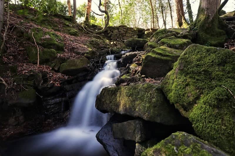 Cleddon Shoots - Image 2
