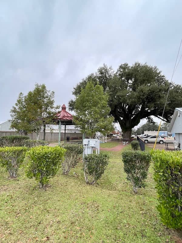 Kate Havard Park - Image 1