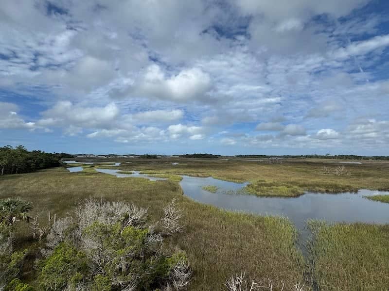 Withlacoochee Gulf Preserve Observation Tower - Image 1