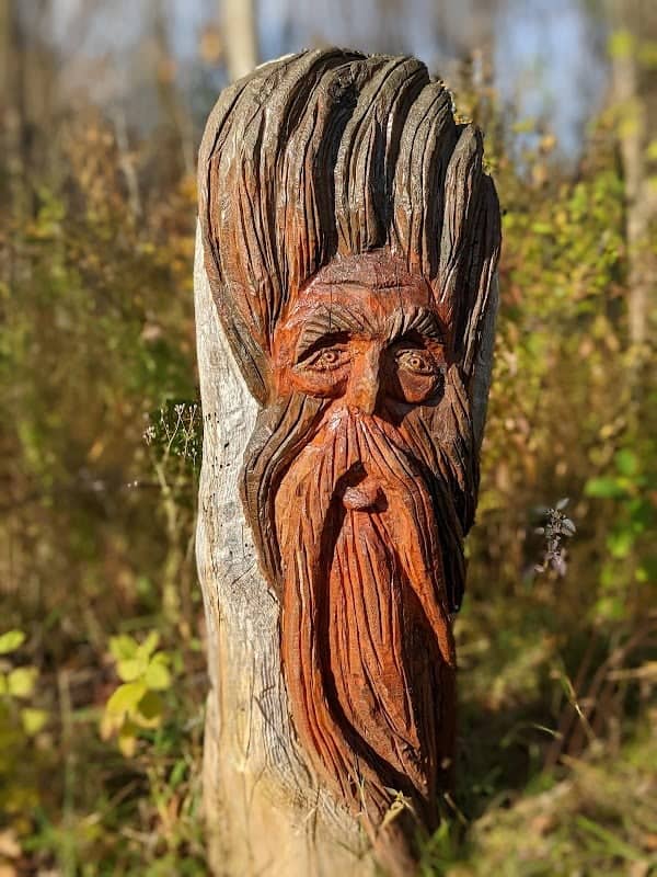 The Enchanted Forest - Image 1