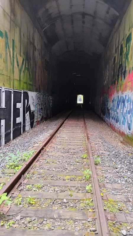 Point Lookout Tunnel - Image 1