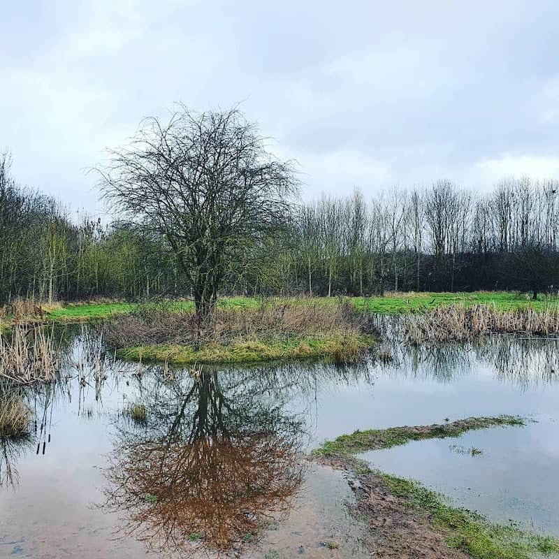Shepshed Nature Reserve - Image 2