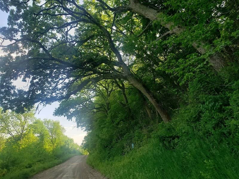 Sawmill Hollow Wildlife Area - Image 2