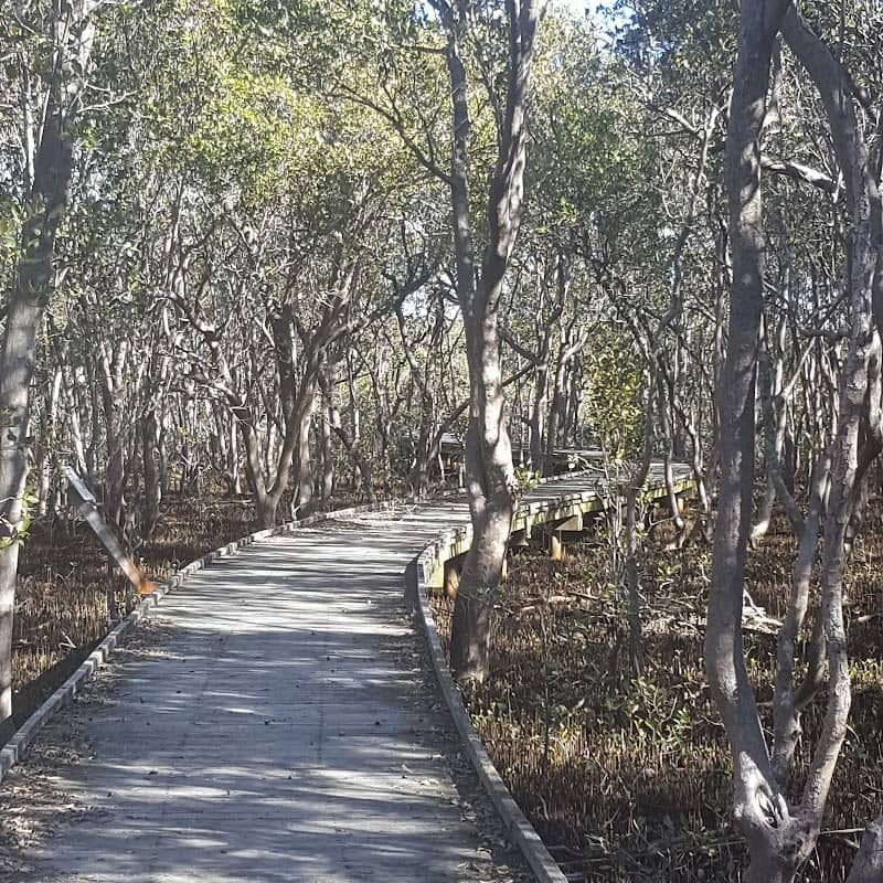 Rainforest walk to Riverside Park - Image 2