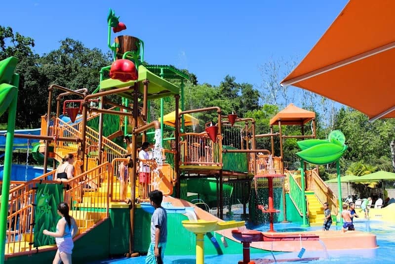 Water Oasis - Image 1