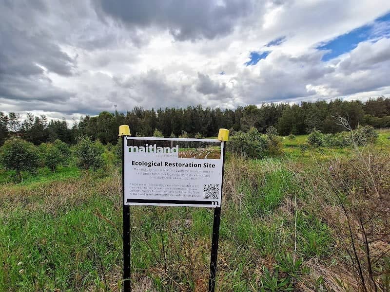 Ecological Restoration Site - Image 1