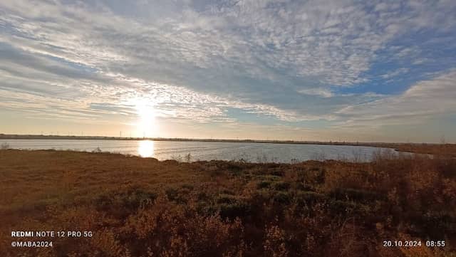 Lengener Meer - Image 1