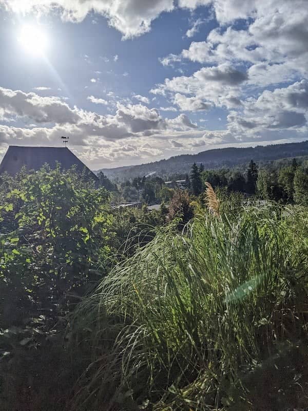 Oregon City Park Place - Image 1