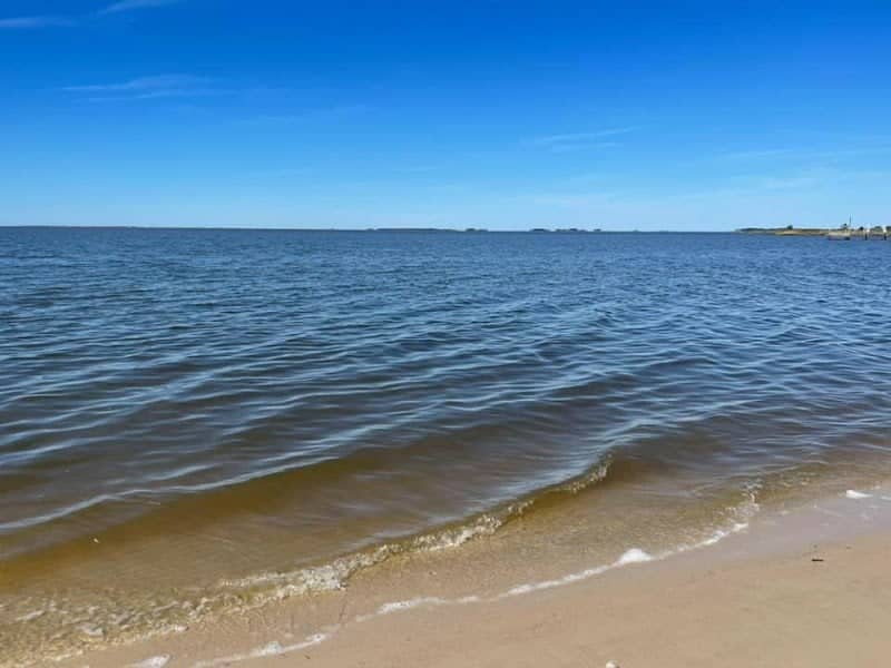 Cove Beach Park - Image 1