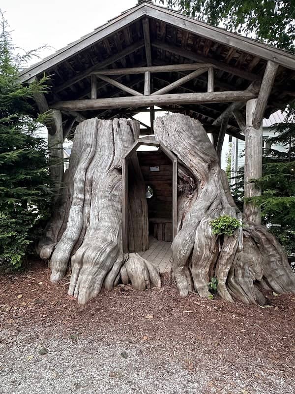 Old Cedar Stump - Image 1