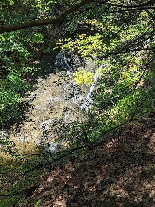 Swatling Falls Nature Trails - Image 1