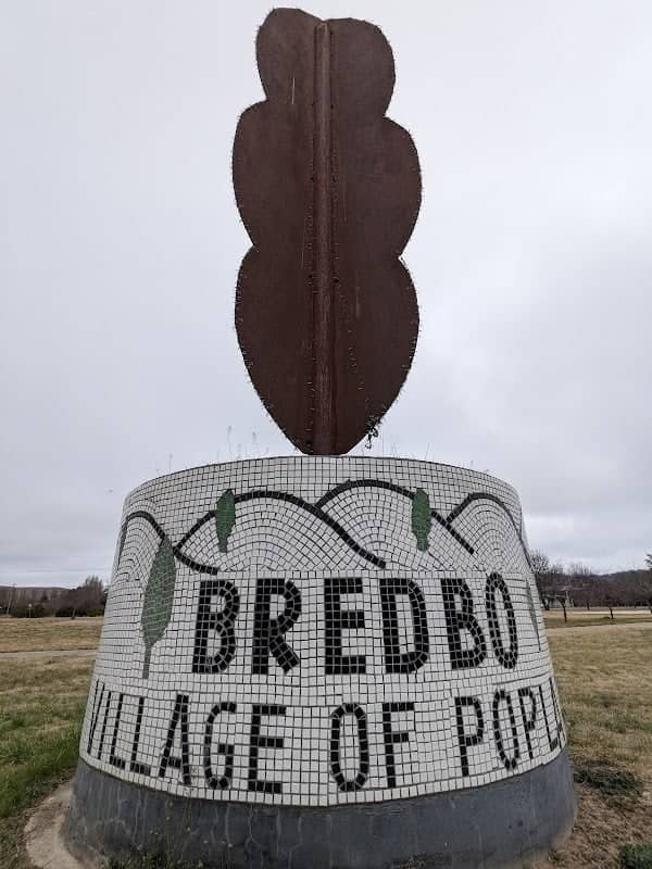 Bredbo Big Poplar - Image 1