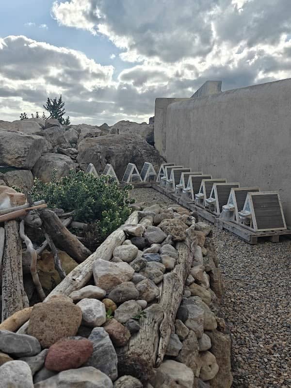 Cat Slum - Image 1