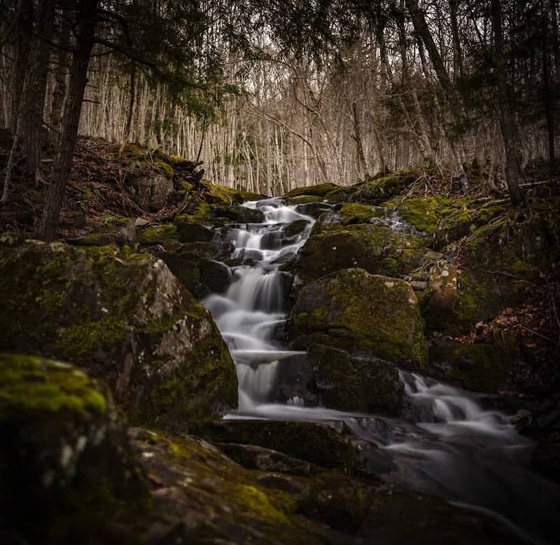 Seven Falls - Margaretsville - Image 1