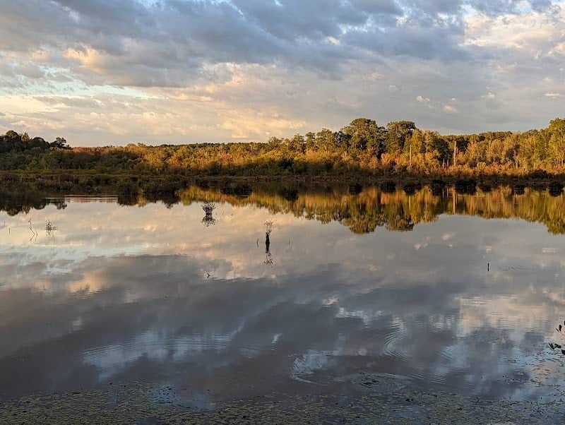 Big Haynes Nature Trail - Image 3