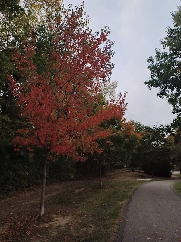 Avon Town Park - Image 1
