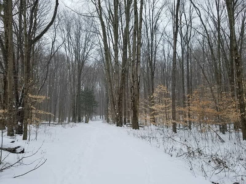 Dix Park - Image 1