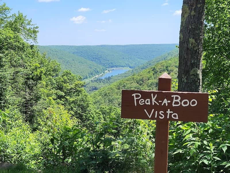 Peek-A-Boo Vista - Image 1