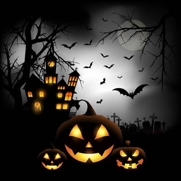 Schenley Haunt - Image 2