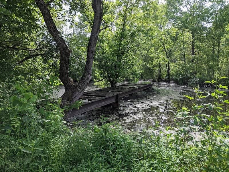 Phipps Bend Trail - Image 1