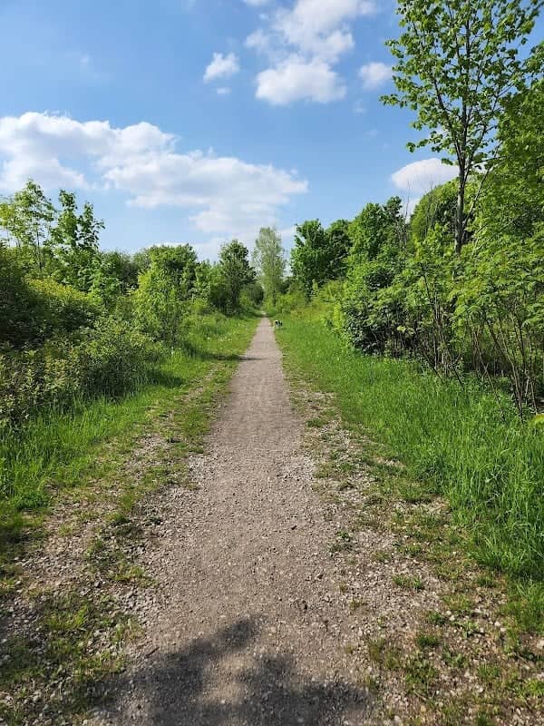 Deer Haven Forest - Image 1