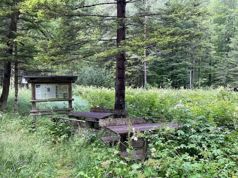 I Biotopi Della Valle Del Boite - Image 1