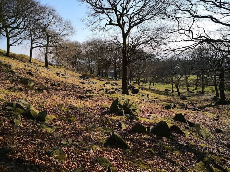 Hamer Pasture Reservoir - Image 2