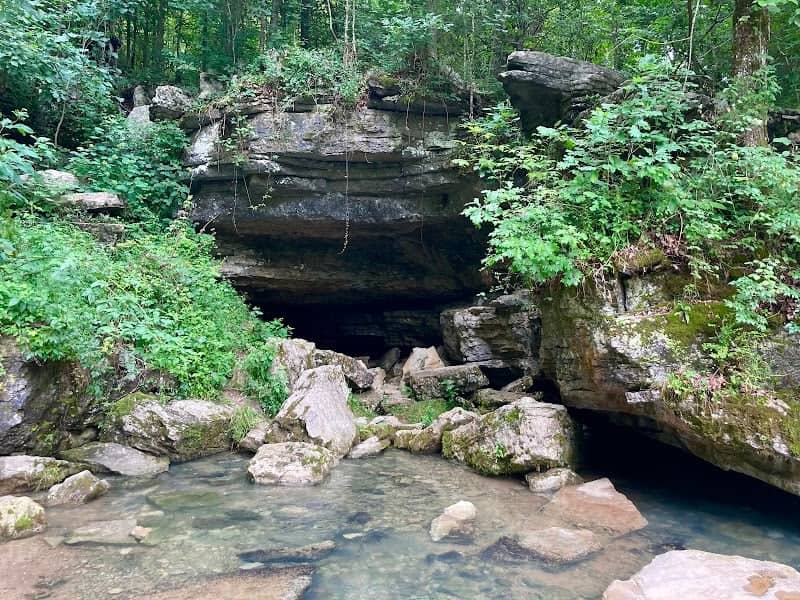 Sequatchie Cave State Natural Area - Image 1