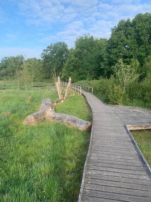 Hope Coppice - Image 2