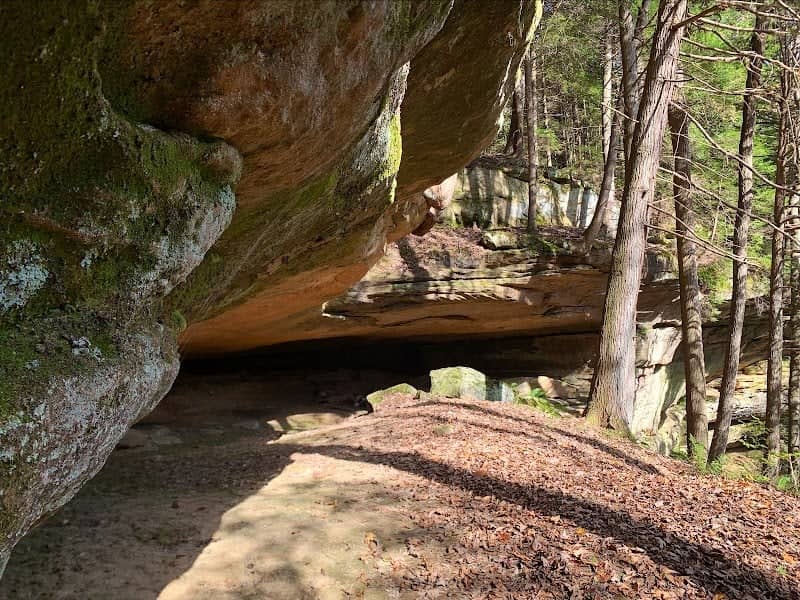 21 Horse Cave - Image 2