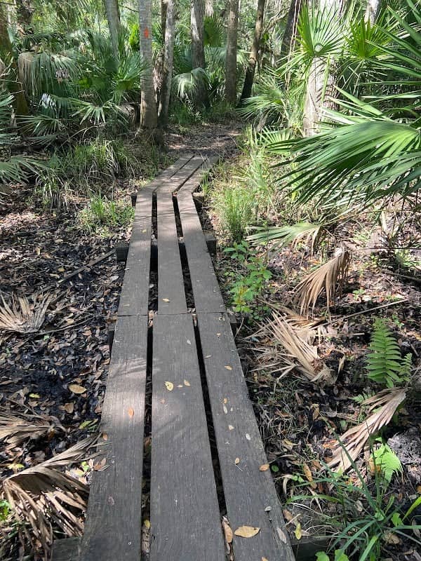 Casey’s Bridge - Image 2