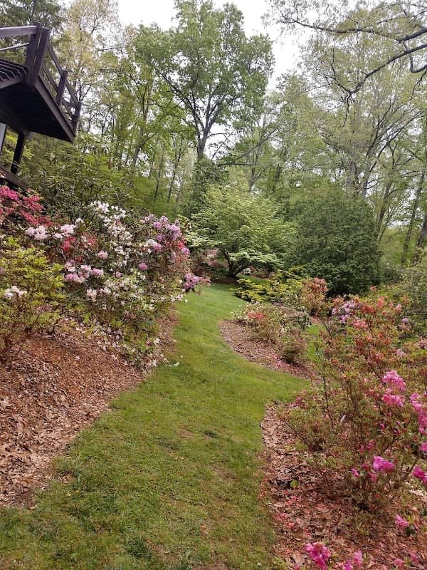 Genesis Gardens - Image 2