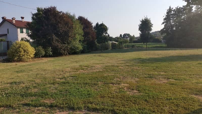 Area sgambamento cani - Image 1
