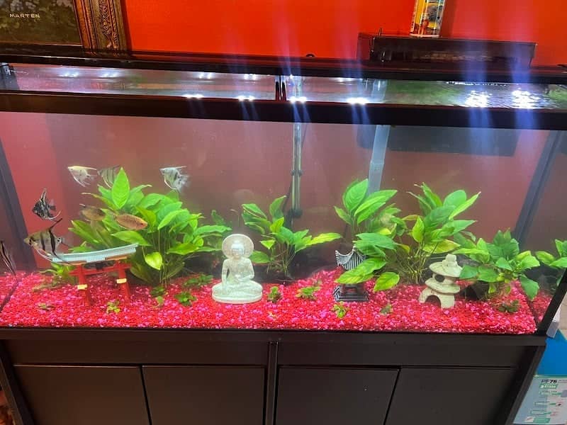 4D AQUARIUMS - Image 1