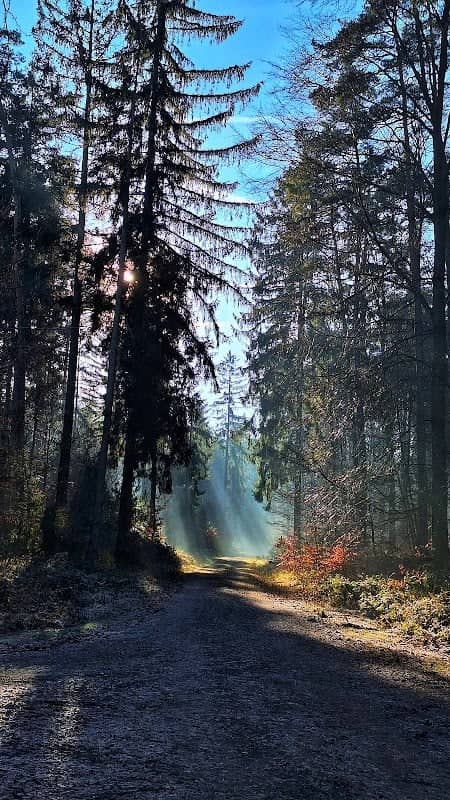 Parklatz Sagenhafter Waldpfad - Image 1