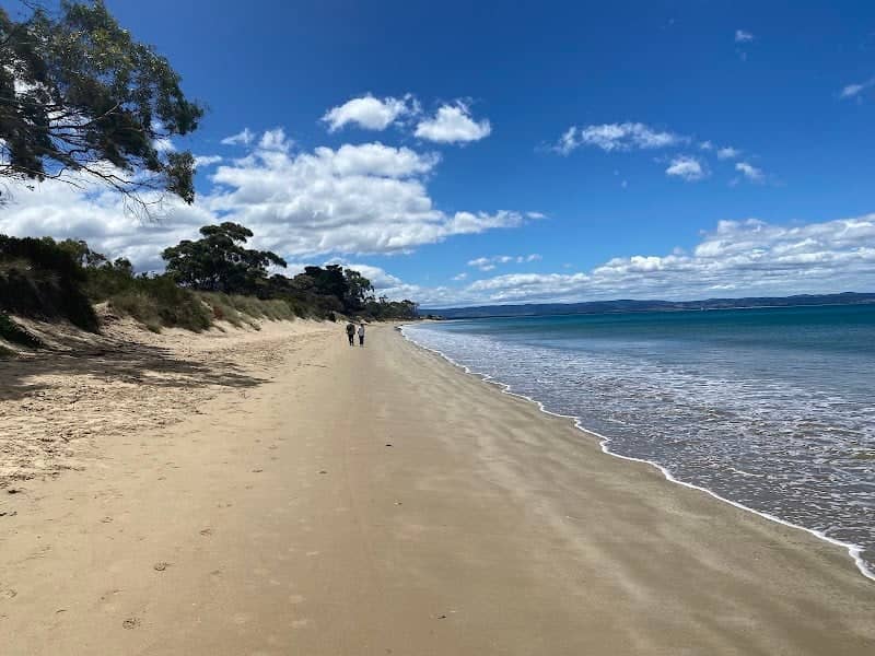 Lauderdale Beach - Image 1