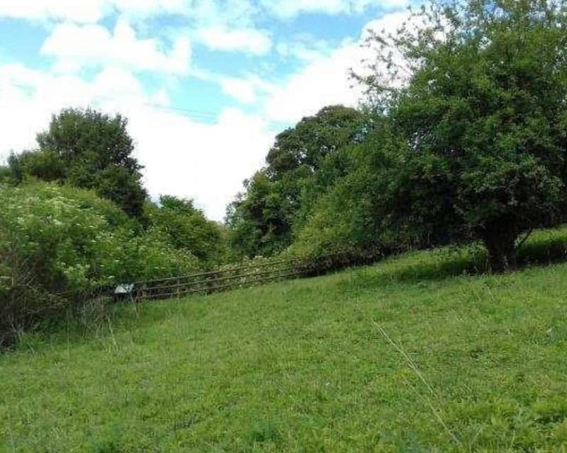 Hill End Chalk Pit - Image 2