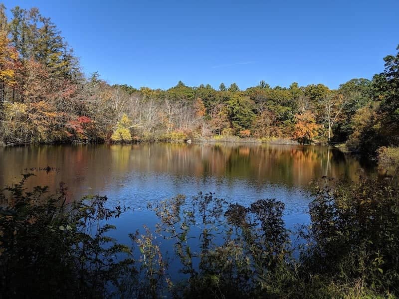 Frenchtown Park and Frye Nature Preserve - Image 3