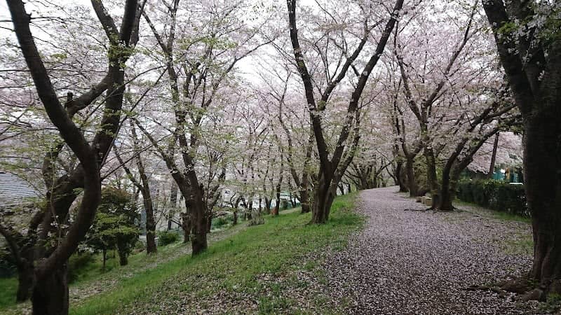 Yamato Adventure Forest Athletic Field - Image 1