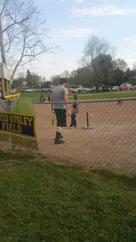 Wellston Ballfields - Image 1